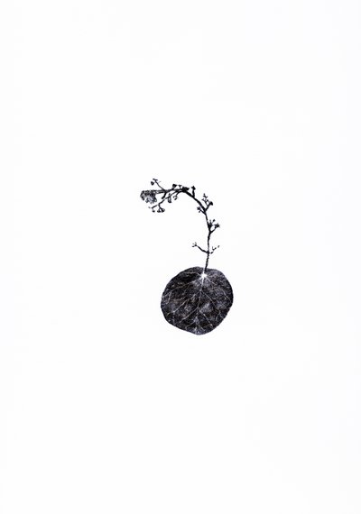 Tug, 2014 by Bella Larsson